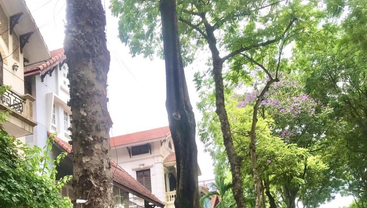 Chính chủ nhờ bán Biệt Thự Thọ Tháp 145m2, sổ đỏ chính chủ đang cất két, giá thương lượng có ra lộc.